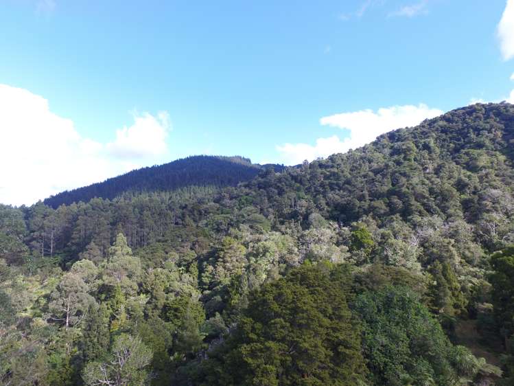 294 Munn Road Kaitaia_5