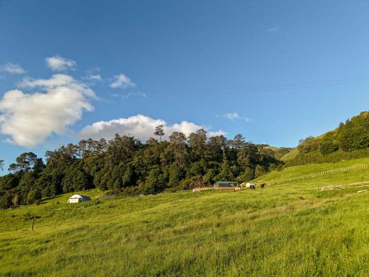 23 Edwin Road Karangahake_42