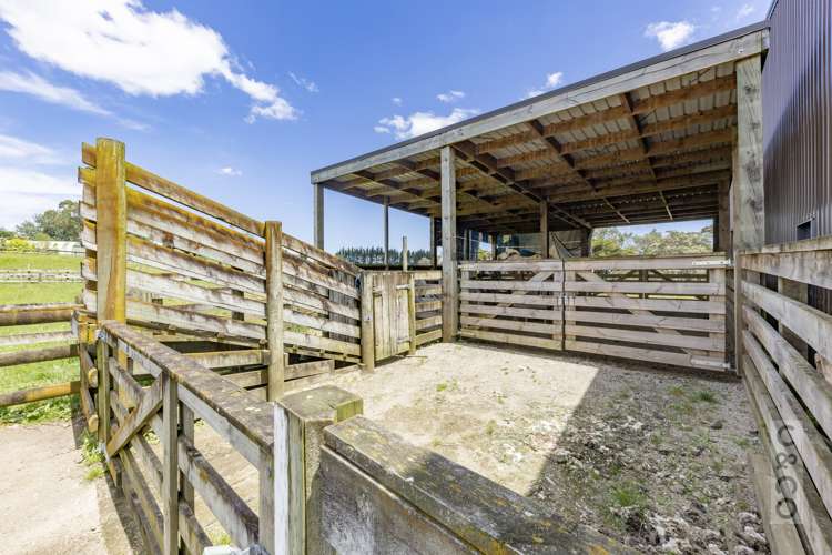 522 State Highway 16 Kumeu_60