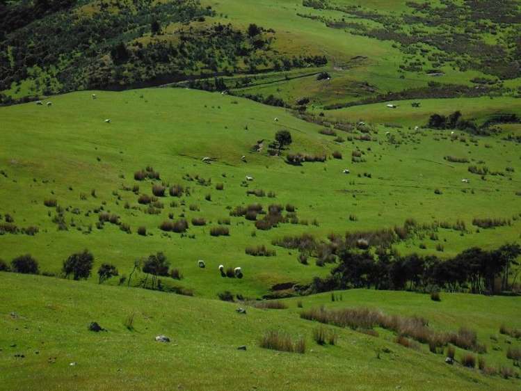 1685 Okuku Pass Road Okuku Range_10