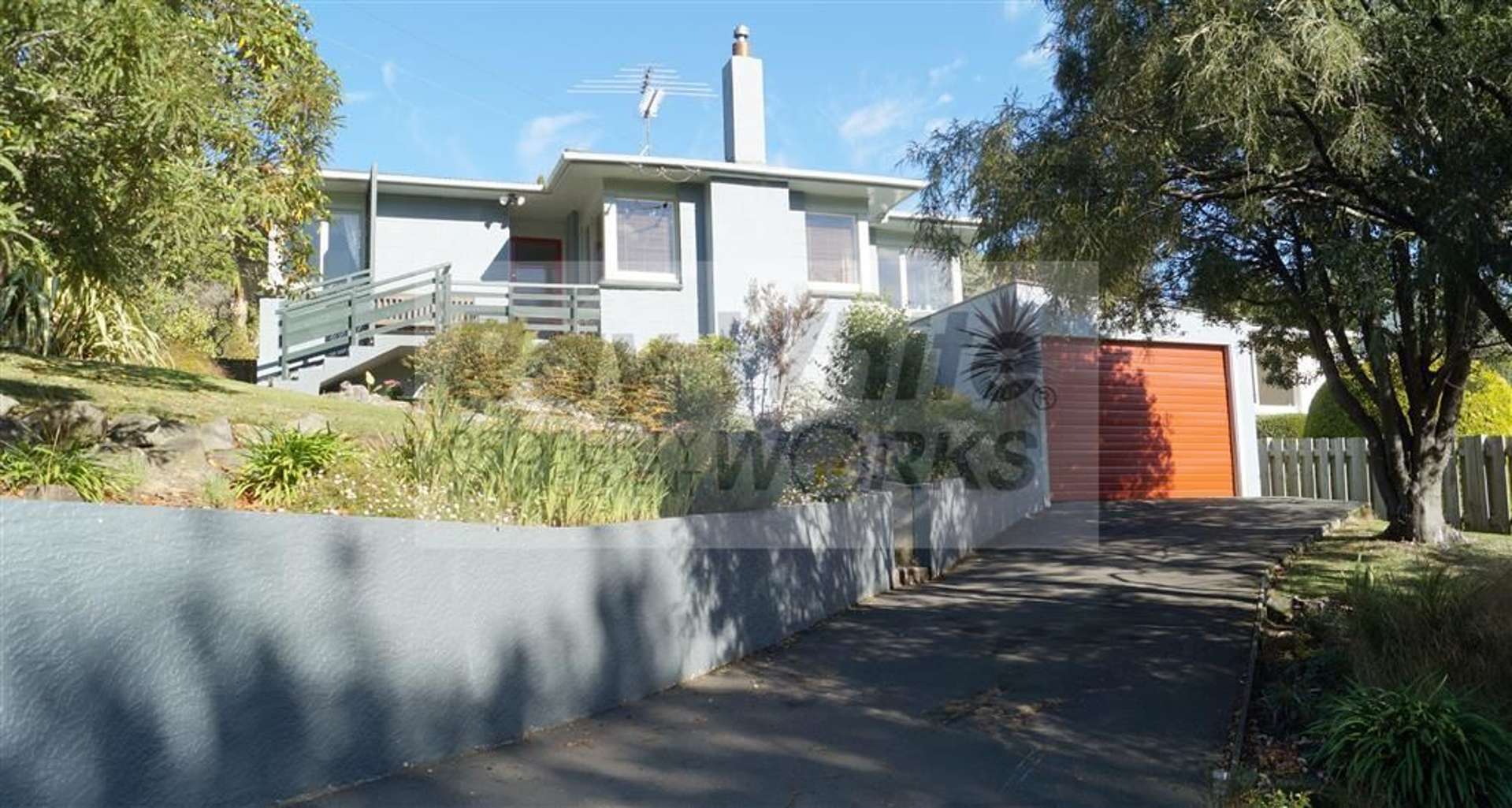 16 Every Street Andersons Bay_0