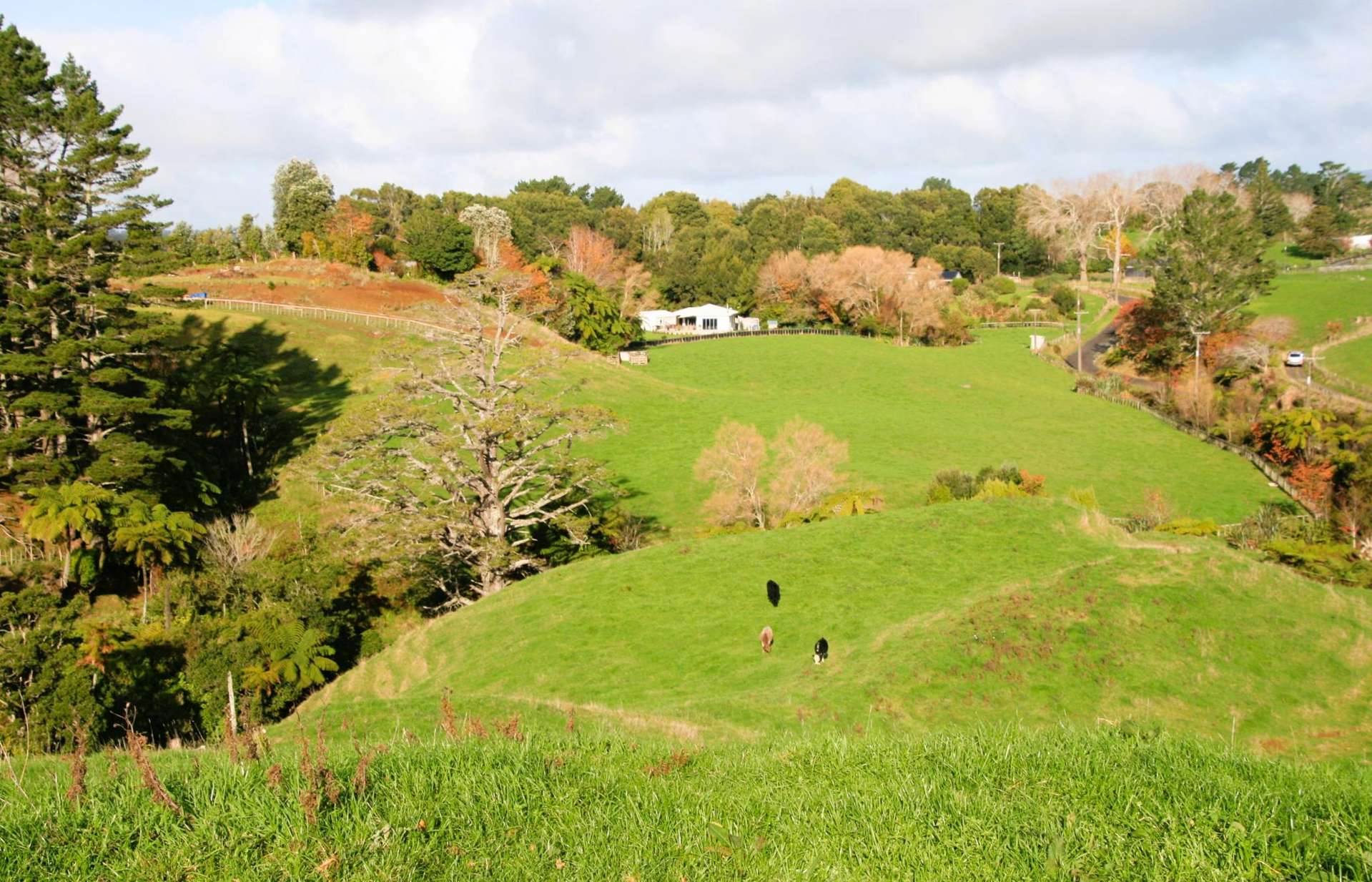 562 Frankley Road Hurworth_0