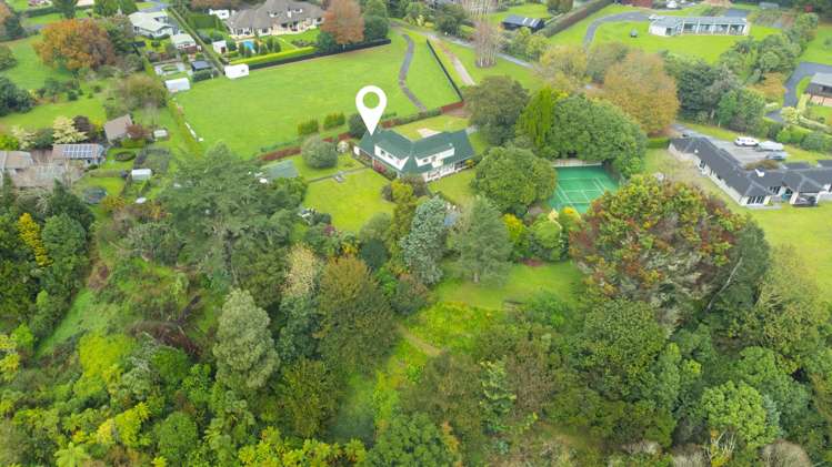 9b Dalbeth Place Matangi_23