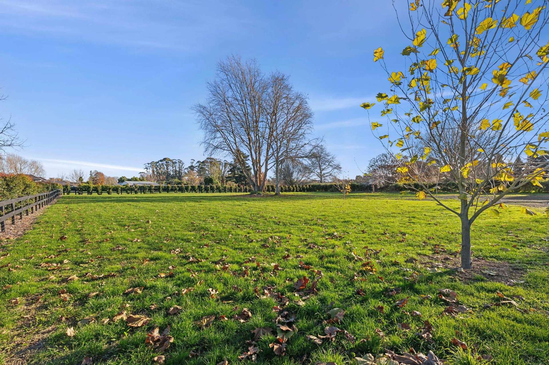 49d Rosebanks Drive Tamahere_0