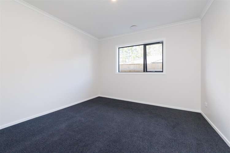 53 Hereford Street Marton_31