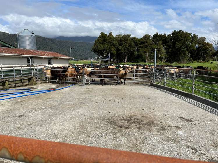 694-778 Waitaha Road Kakapotahi_16