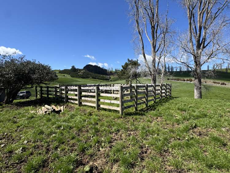 258 Wharepapa South Road Te Awamutu_14