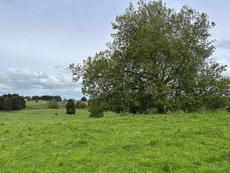 1/2171 Cambridge Road Te Awamutu_5