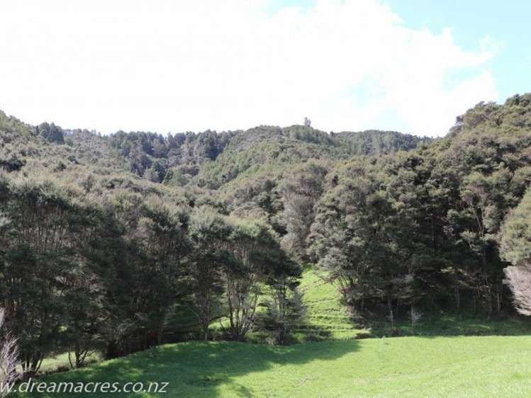 242 Owae Road Russell Surrounds_18