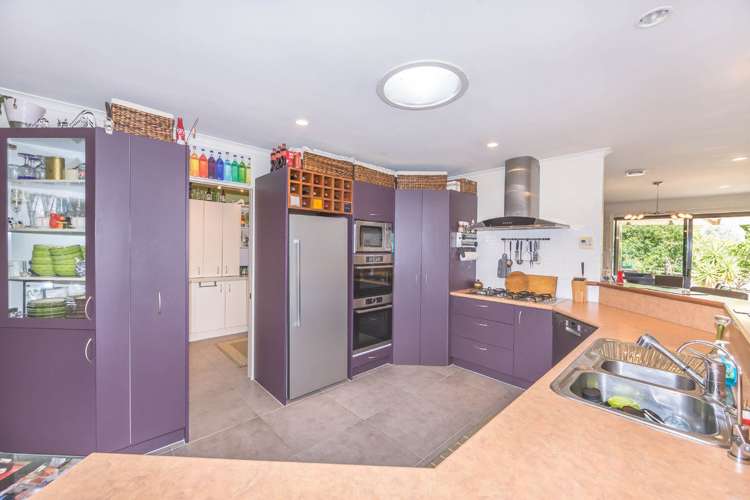 39 Postman Road Dairy Flat_10