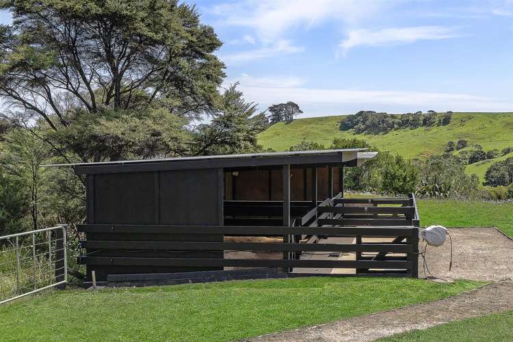 101 Taylor Road Waimauku_34