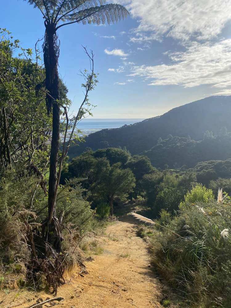 180 Totaranui Road Wainui Bay_15