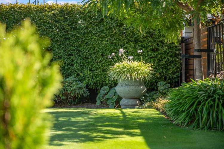 3 Solomon Place Witherlea_38