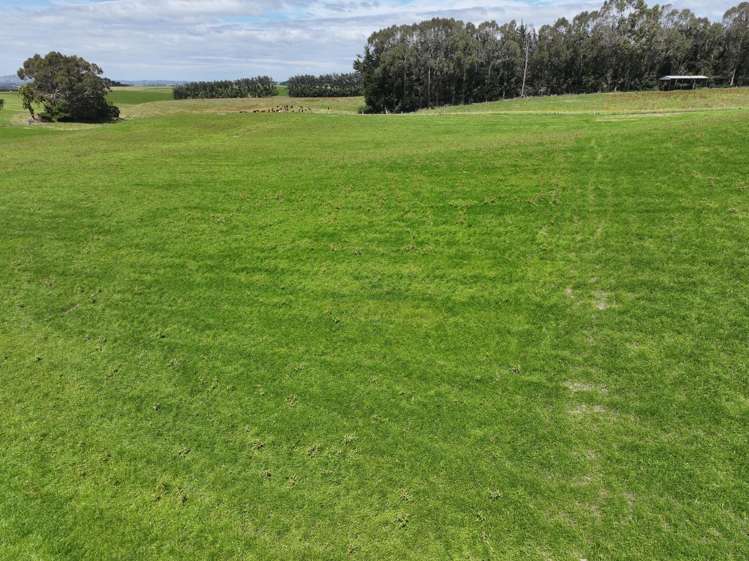 986 Downs Road South Edendale_11