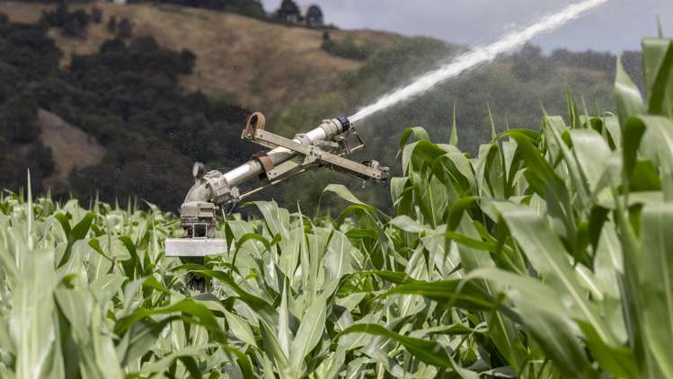 429 Riverside Road Martinborough_13