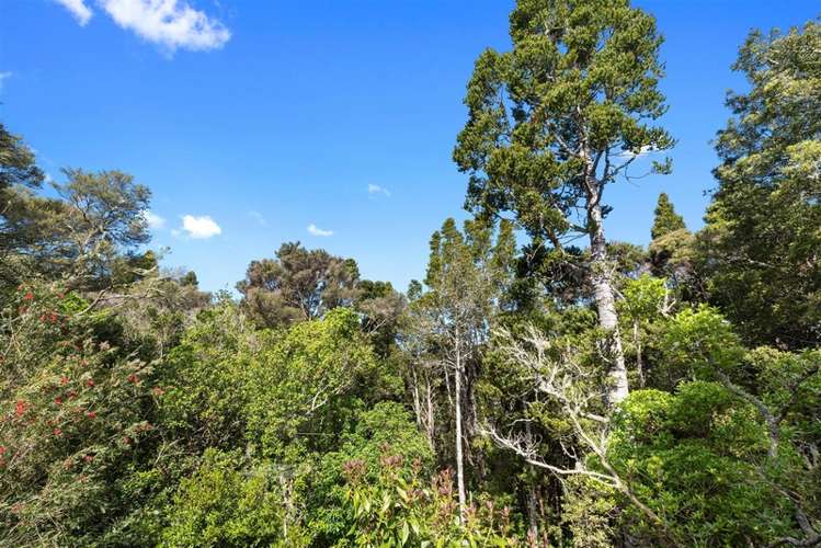 42a Rangatira Road Birkenhead_16