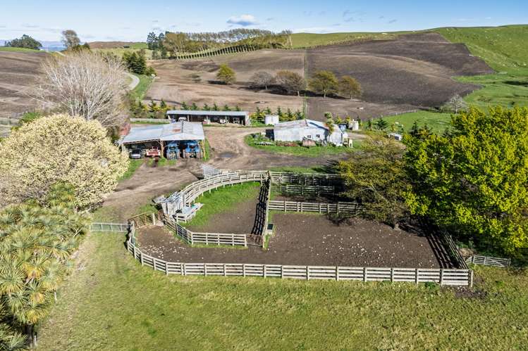 463 Dog Kennel Road Ikawai_10