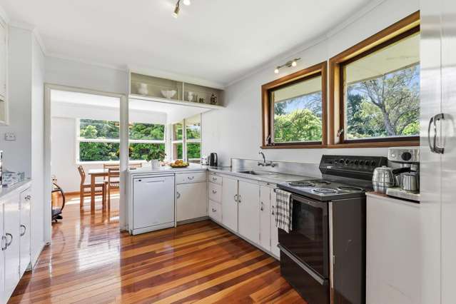 386 Ulster Street Beerescourt_3