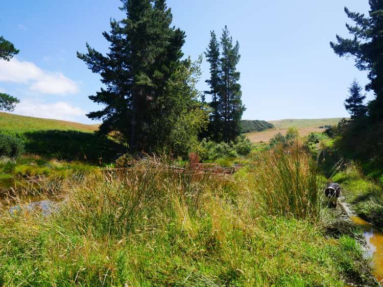 2705 Waikouaiti-Waitati Road Waikouaiti_13