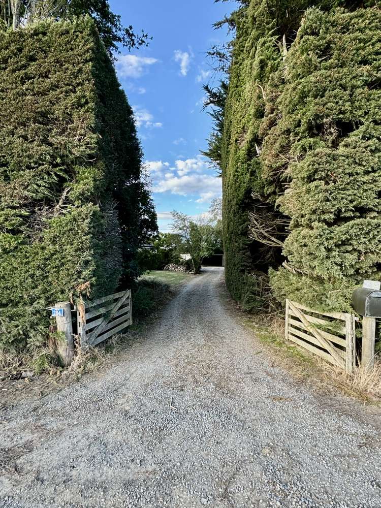 284 Estate Road Clinton and Surrounds_20