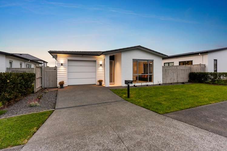 61 Nganui Avenue_0