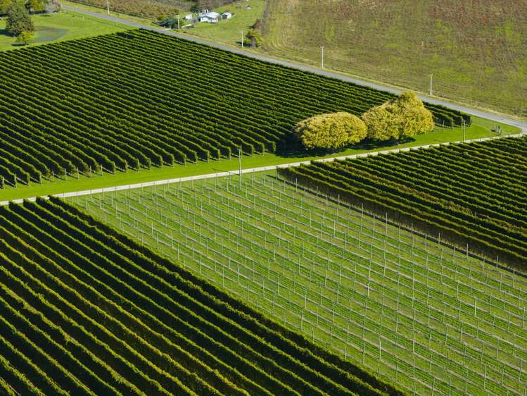 139 Taurau Valley Road Manutuke_5
