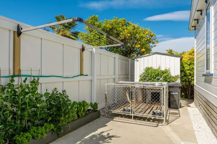 15 Kirk Street Renwick_23