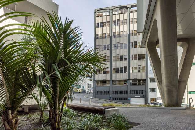 3a/47 Saint Paul Street Auckland Central_3