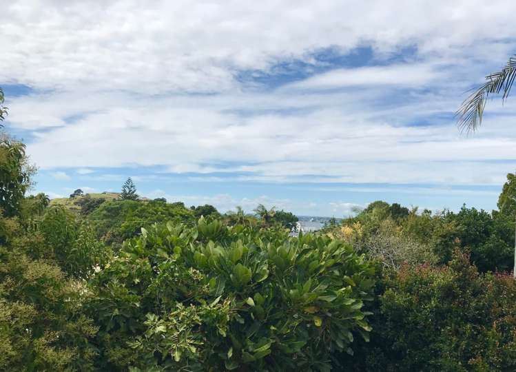 14b Albert Road Devonport_14