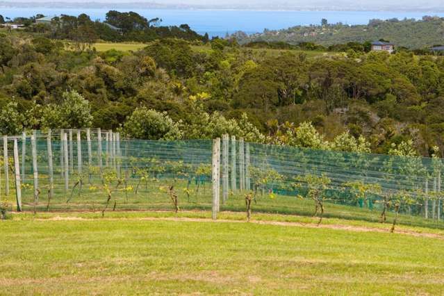 152 Trig Hill Road Waiheke Island_2