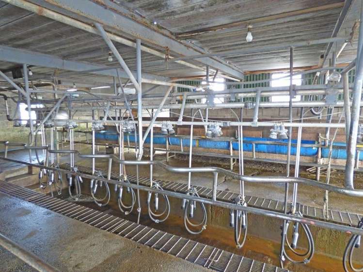 306 Gillespies Line Kairanga_6