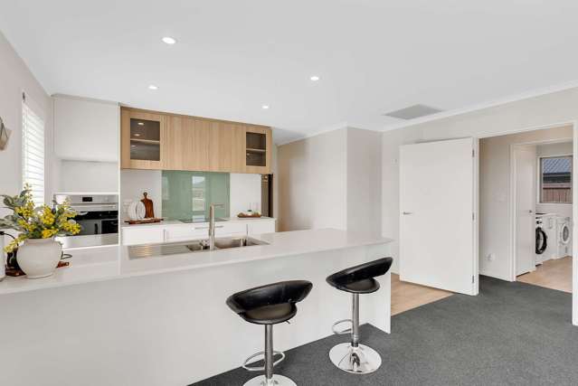 41 Ashbury Drive Tinwald_2