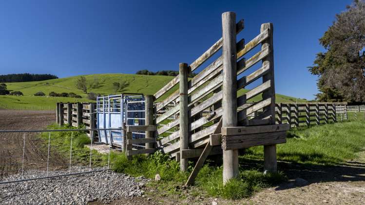 1572 Ponatahi Road Carterton_16