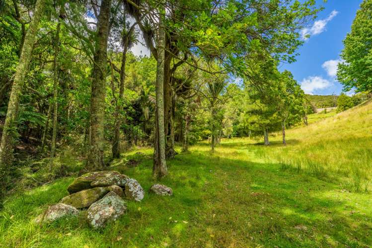 14 Tahunatapu Road Parua Bay_42