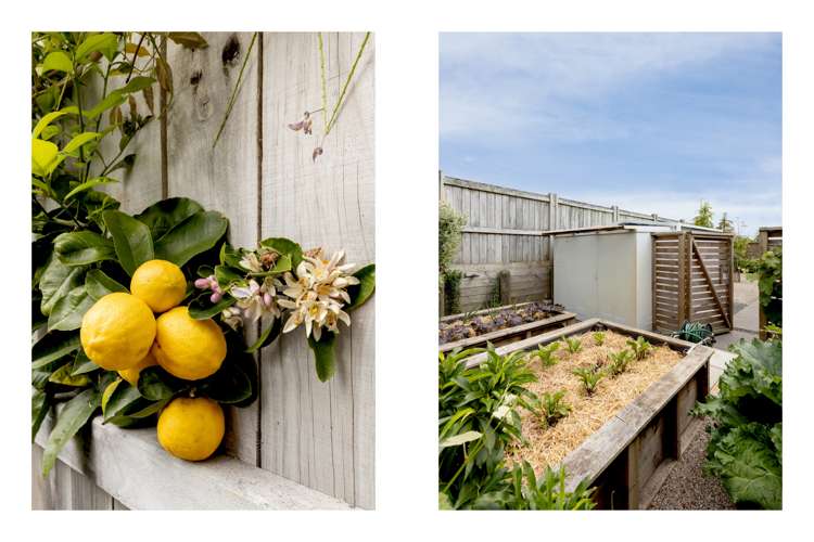 42 Kapuka Street Papamoa_28