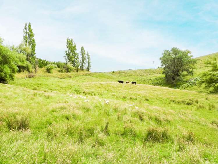 1601 Kahuranaki Road Havelock North_10