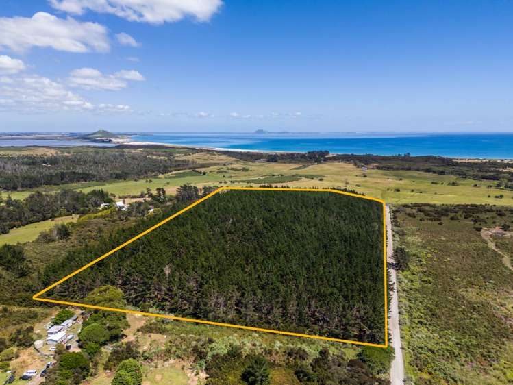 356 Matai Bay Road_0