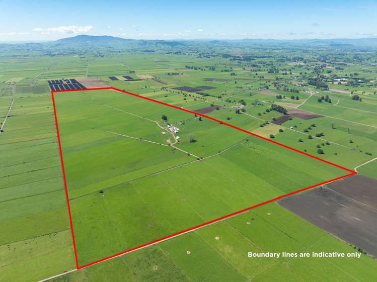 254 Muir Road Te Awamutu_26