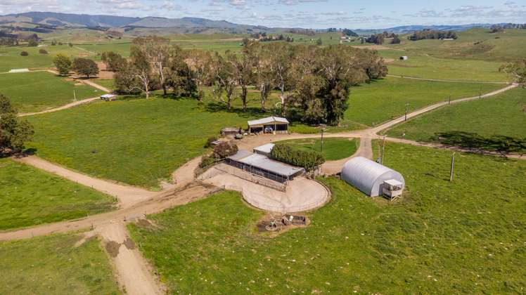 120 Pamotumotu Road Maihiihi_9