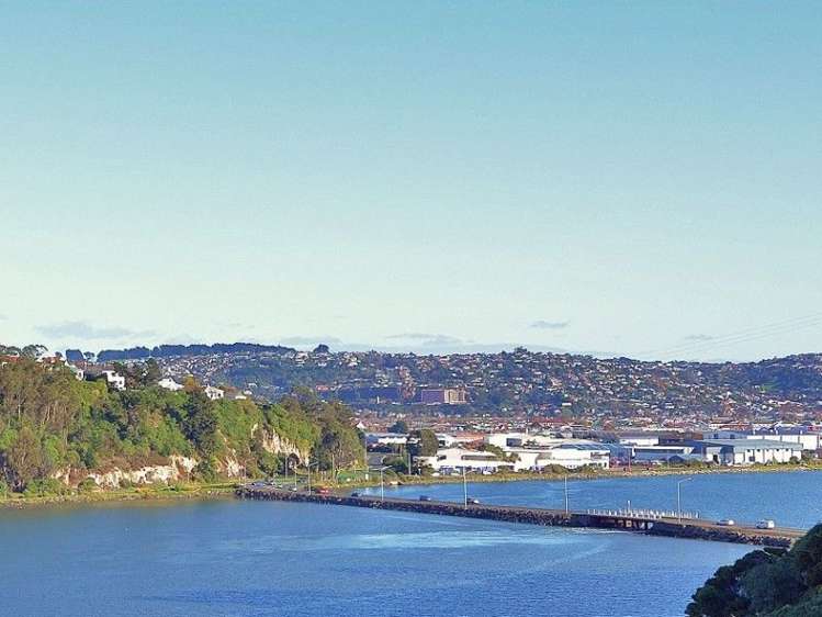 50 Marne Street Andersons Bay_3