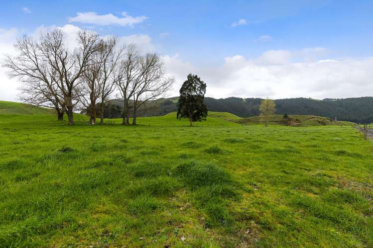 851B Kaahu Road Whakamaru_24