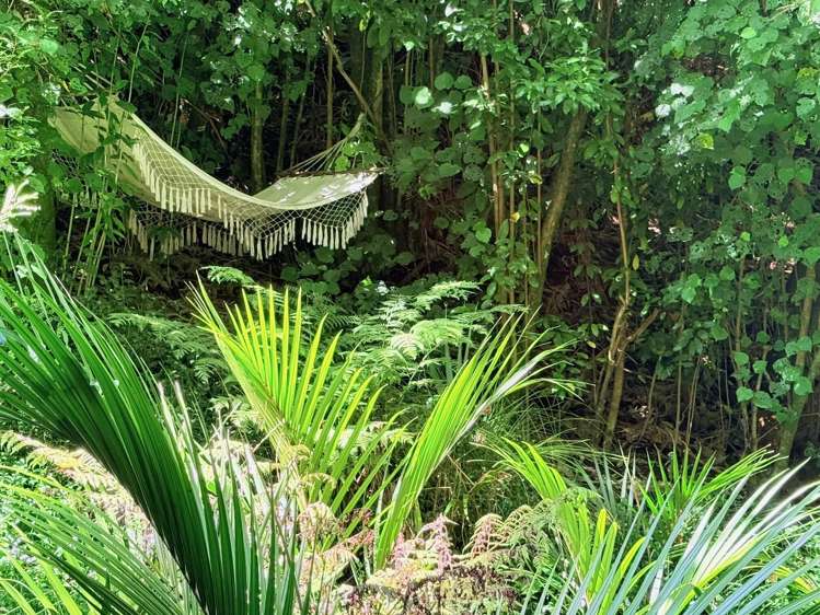 1164 No 3 Road Te Puke_47