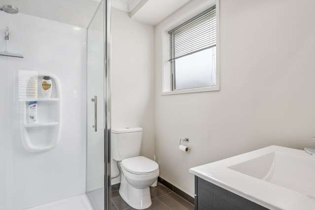 2 Damien Place Ohauiti_1