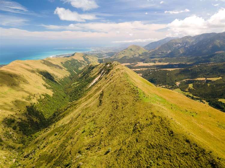 1178 Puhi Puhi Road Puhi Puhi_4