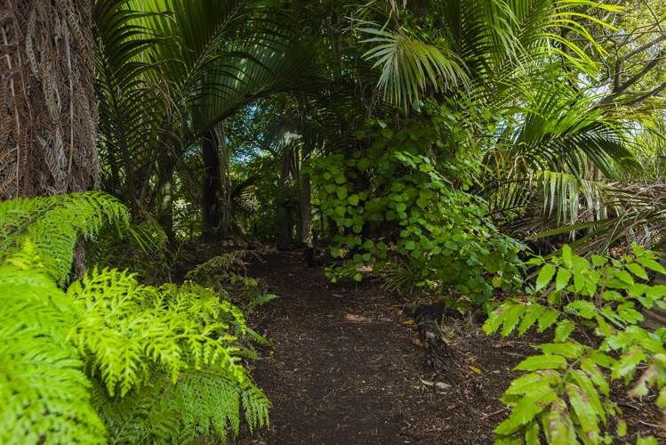 16 Russell Street Whataupoko_20