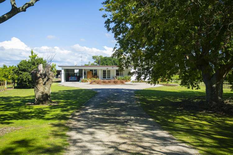 75 Brown Road Ormond_1