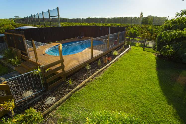 944 Back Ormond Road Makauri_16