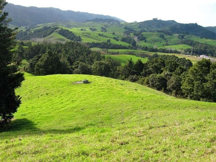 248 Swamp Road Mareretu_11