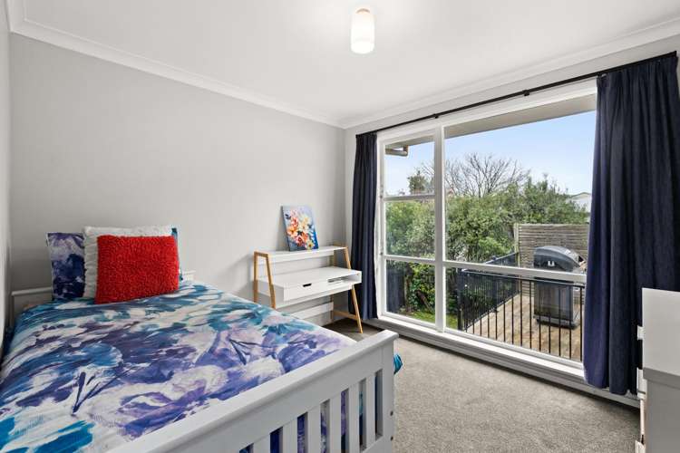 50 Joll Road Havelock North_10