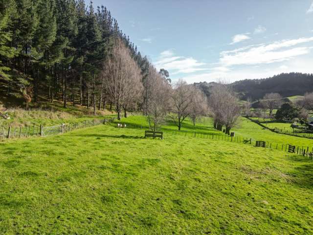 Kaukatea Valley Road Okoia_4